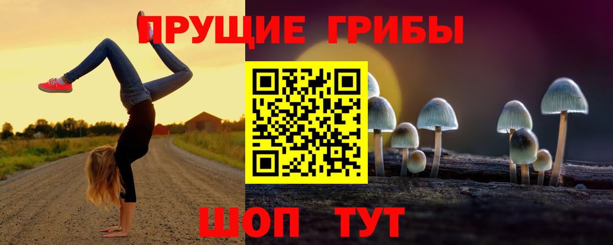 сколько стоит  Вход с VPN  Качканар  Галлюциногенные грибы Psilocybine cubensis 